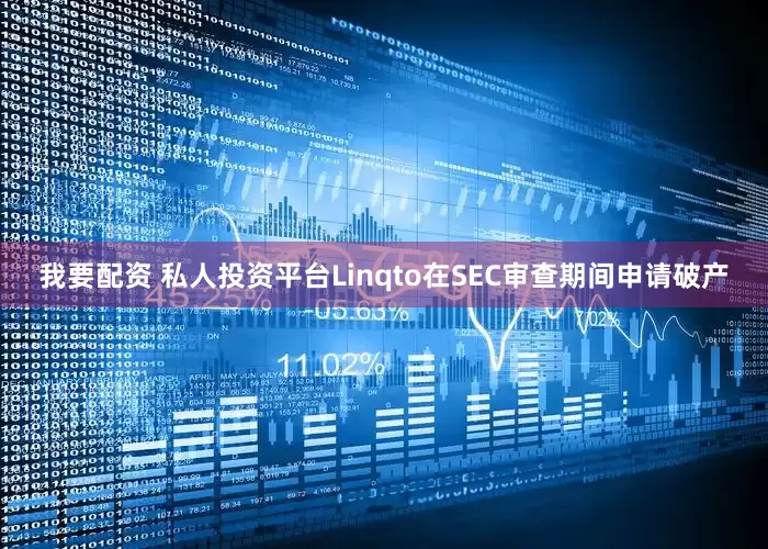 我要配资 私人投资平台Linqto在SEC审查期间申请破产
